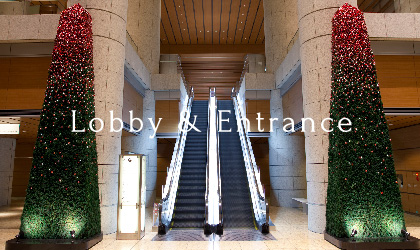 Lobby & Entrance