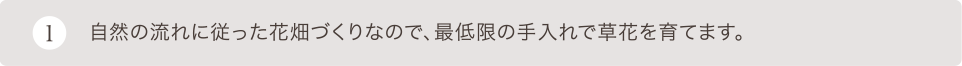 自然の流れに従った花畑づくりなので、最低限の手入れで草花を育てます。