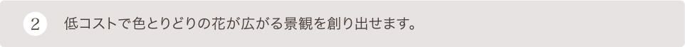 低コストで色とりどりの花が広がる景観を造り出せます。