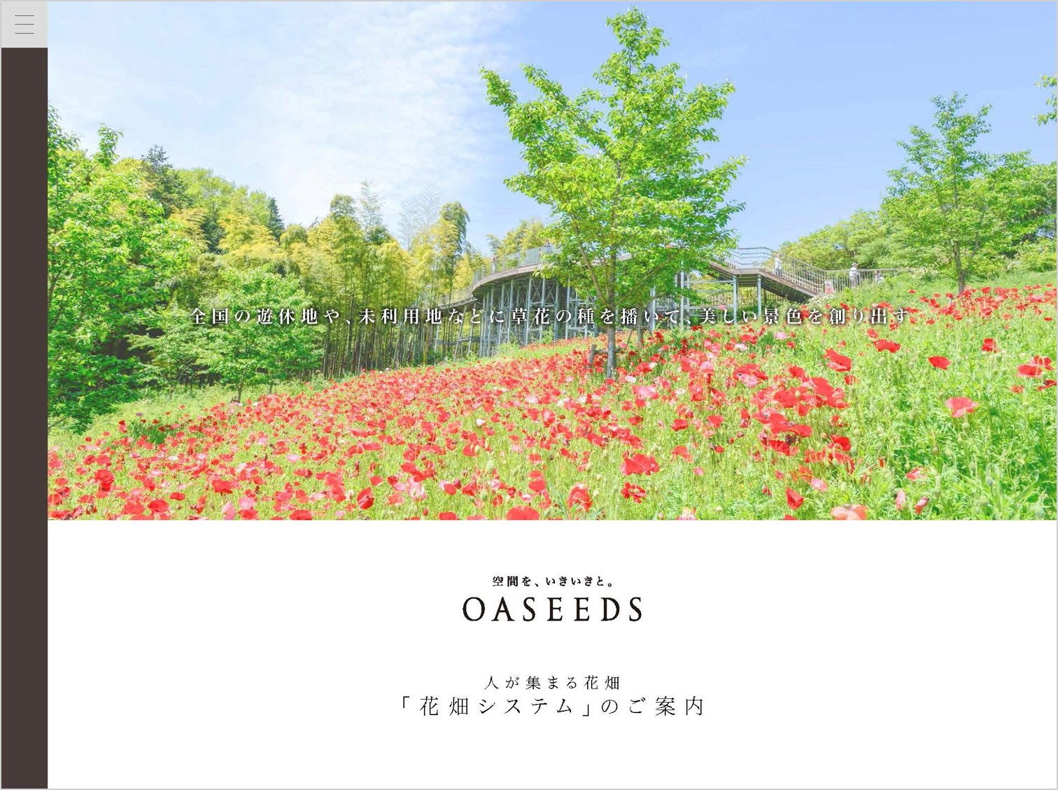 絶景 インスタ映えで話題の花畑を企画する 花畑システム サイトオープン 第一園芸株式会社